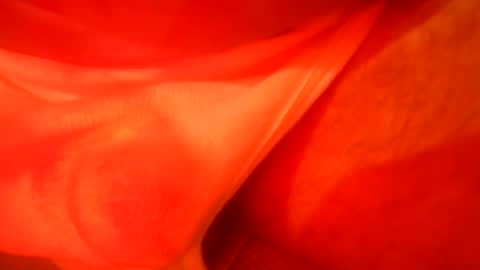 daaavy11 online show from November 2025 03:28:01 AM