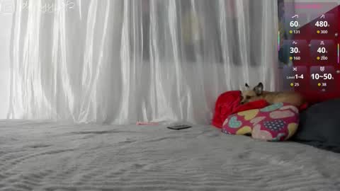 daani_hott online show from January 2026 04:15:01 AM