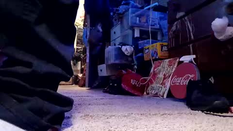 dabangaz4life online show from December 2024 05:49:02 AM