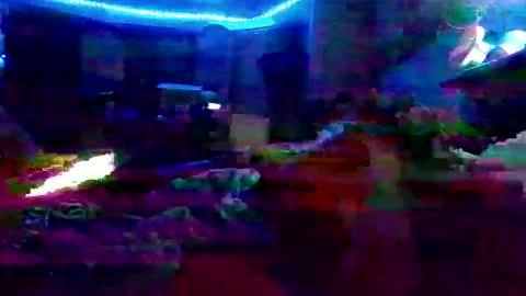 dabangaz4life online show from December 2024 08:44:02 AM