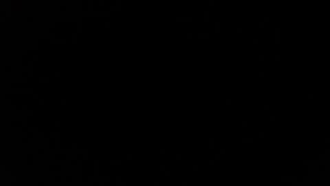 Destroyer online show from December 2024 10:30:01 PM