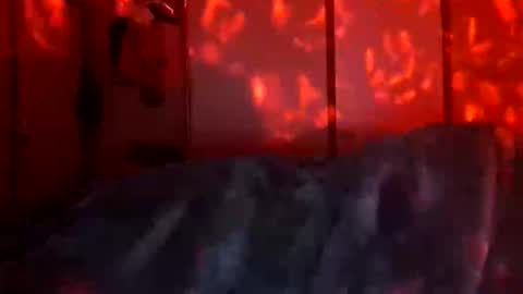 Daddett iS Wett online show from December 2025 09:48:01 AM