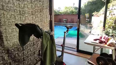 bas online show from November 2025 03:43:02 PM