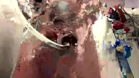 Daddy online show from January 2025 04:16:02 PM