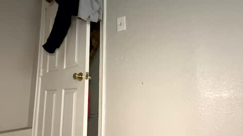daddyplumber online show from January 2025 09:20:02 PM