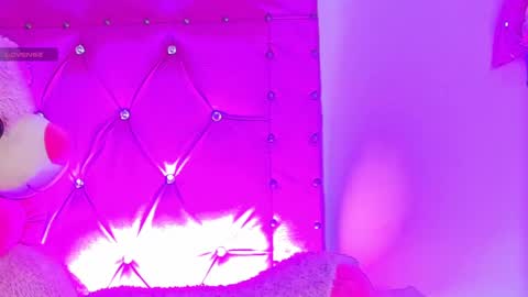    online show from February 2025 08:29:02 AM