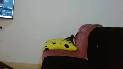 Daiisha.. online show from April 2026 08:07:01 AM