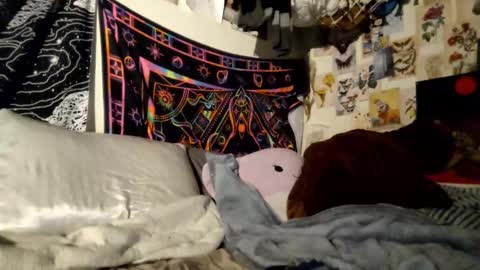 DaintyDarling online show from February 2025 06:48:02 PM