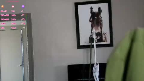 Daisy online show from February 2026 04:11:02 PM