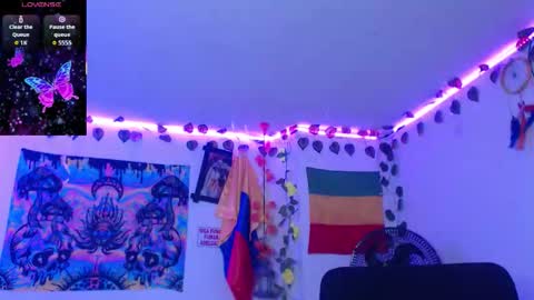 Dakko online show from January 2026 11:12:02 AM