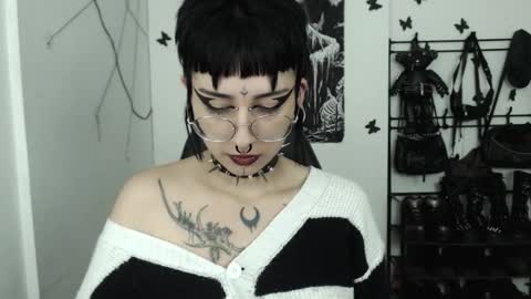 Snapshot of dakota_krall_ chatting on October 2025 04:04:02 AM dakota online show from October 2025 04:04:02 AM