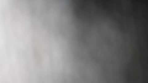 Dalia April online show from January 2026 07:41:01 PM