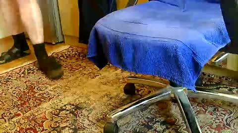 Dammerl online show from December 2024 01:06:01 PM