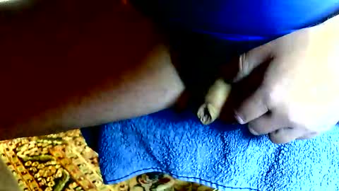 Dammerl online show from April 2026 11:34:01 AM