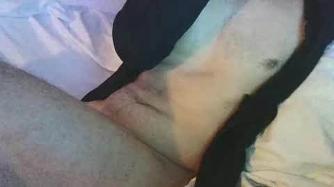 Snapshot of dan567y chatting on February 2025 05:59:02 AM dan567y online show from February 2025 05:59:02 AM