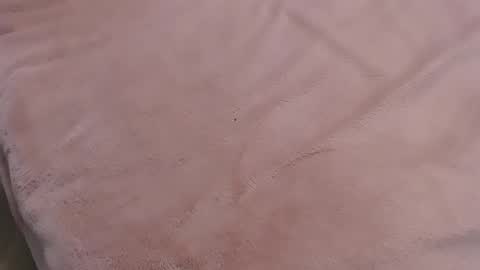  Danna Lovense is activeThere are legends that in this room all your wishes can come true  Private is Open online show from January 2025 09:57:01 PM