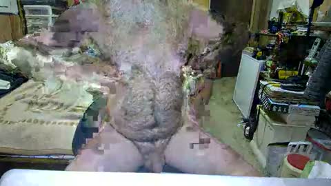 Dana online show from October 2025 04:42:02 PM