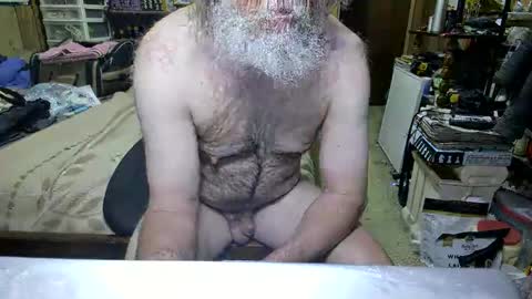 Dana online show from April 2026 02:49:01 PM