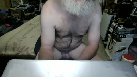 Snapshot of danagm chatting on June 2026 04:53:02 PM Dana online show from June 2026 04:53:02 PM