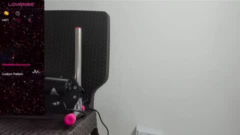 DANI online show from January 2025 01:35:02 PM