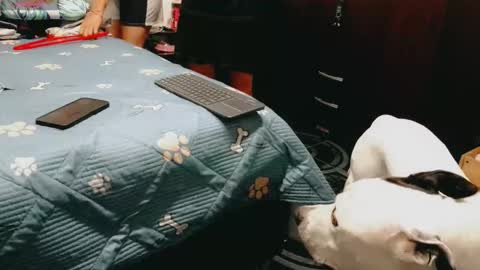 dani y jocelyn online show from February 2026 07:21:01 PM