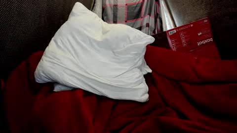 Just Ben online show from March 2026 01:27:01 PM