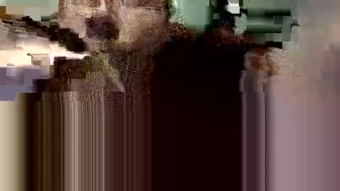 danieldayz online show from October 2025 08:34:01 AM