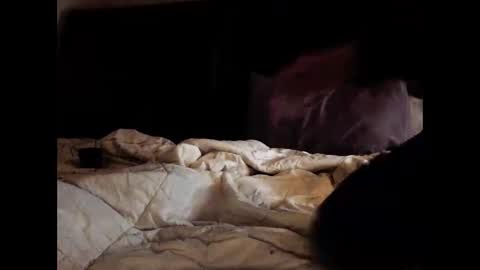 daniellbisous online show from February 2026 06:29:02 AM