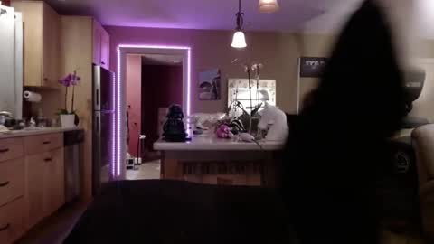 Snapshot of danikawhite69 chatting on February 2025 08:22:02 AM DanikaWhite69 online show from February 2025 08:22:02 AM