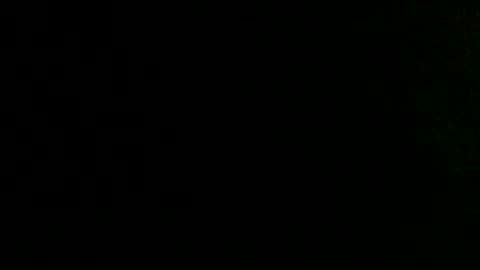 dandeb online show from October 2025 10:00:02 AM