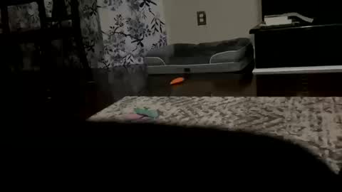 dannyboy621 online show from October 2025 09:43:01 AM