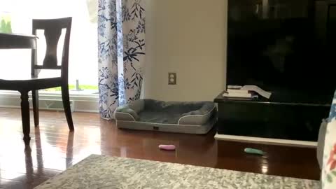 dannyboy621 online show from October 2025 01:18:01 PM