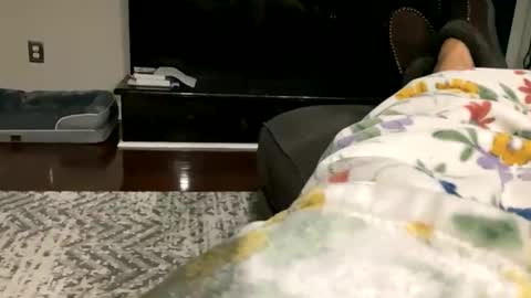 dannyboy621 online show from October 2025 09:33:01 AM