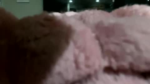 dannyboy621 online show from November 2025 02:10:02 AM