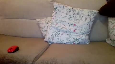 Snapshot of danydotado chatting on December 2024 07:38:02 PM danydotado online show from December 2024 07:38:02 PM