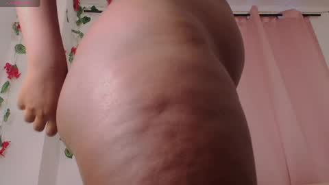 Daphne online show from April 2026 01:37:01 PM