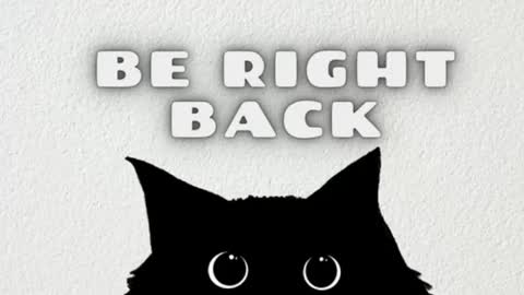 darienlarge online show from January 2026 09:33:02 AM