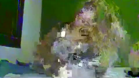 darius171987 online show from March 2026 02:22:02 PM