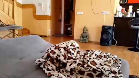 dxd69 online show from April 2026 02:40:01 PM