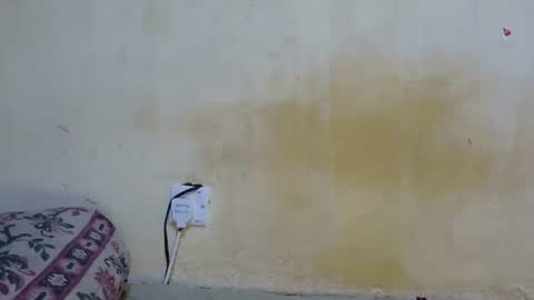 dark_princess1 online show from October 2025 07:50:01 AM