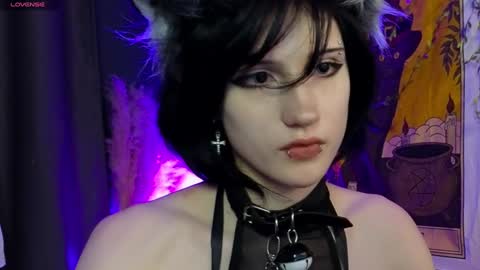 Vamp  online show from December 2024 12:08:02 AM