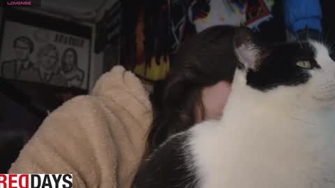 Darkness online show from January 2025 10:59:01 PM