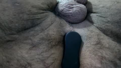 Ran online show from April 2026 01:42:02 AM