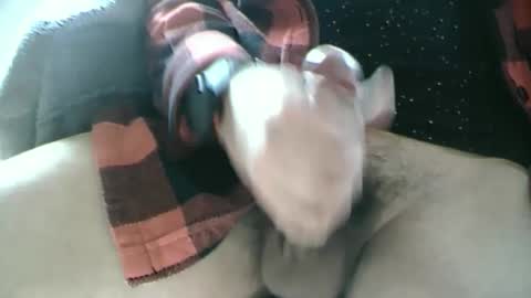 Dartrok online show from February 2025 12:59:01 PM