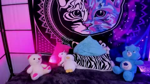 daryimiau online show from May 2026 04:07:02 AM