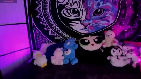 daryimiau online show from July 2026 07:23:02 AM