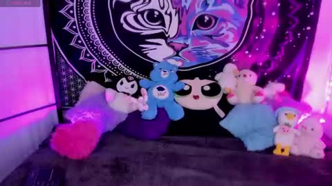 daryimiau online show from July 2026 04:26:01 AM