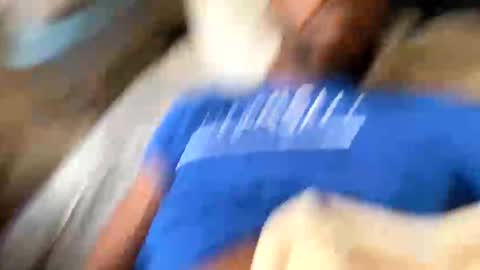dasquirtmaster online show from May 2026 01:41:01 PM