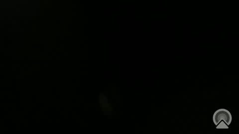 daveeveline online show from November 2025 12:38:02 PM