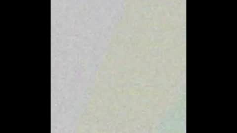 David online show from February 2026 05:17:01 AM